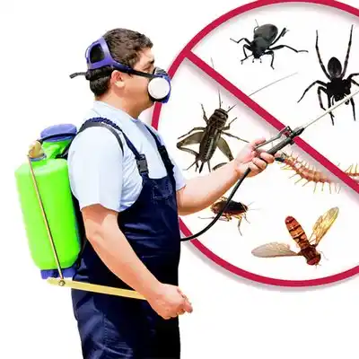 pest control New Augusta